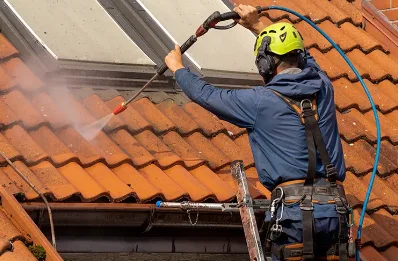Démoussage et hydrofuge de toiture à Rivehaute